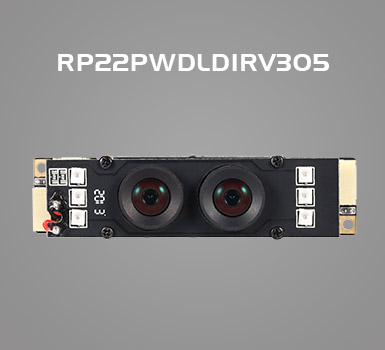 RP22PWDLDIRV305模组